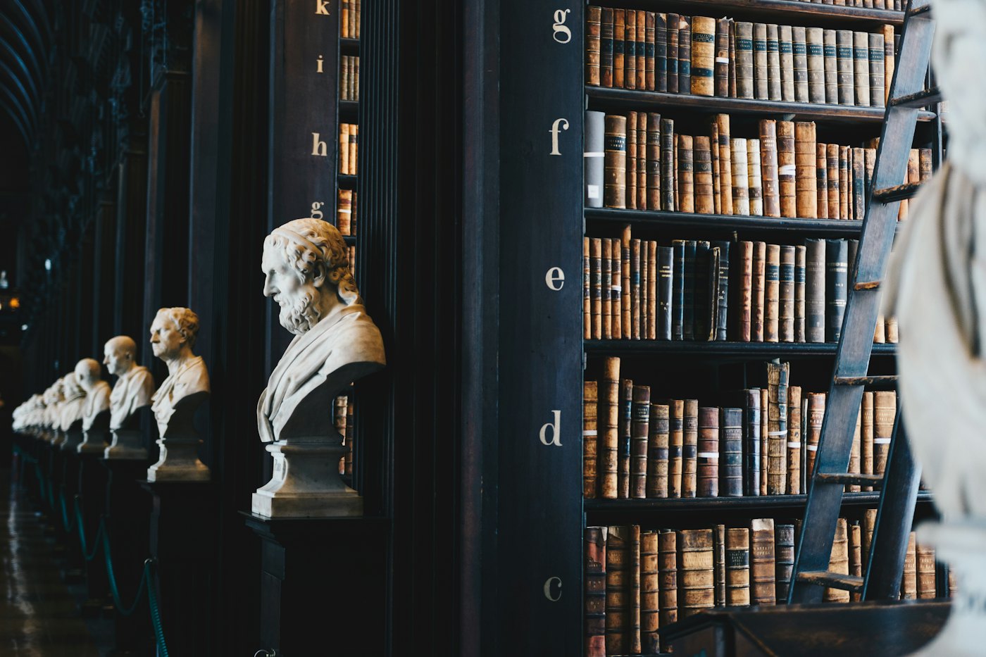 Biblioteca jurídica clásica con bustos y estantes de libros antiguos